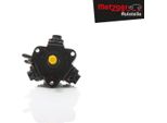 Metzger 0830048 Pompa Ad Alta Pressione Pompa Carburante Per Ford Mondeo Iv Turnier (BA7) S-MAX (WA6) Galaxy (WA6) Mondeo Iv (BA7) Mondeo Iv Notchback (BA7)