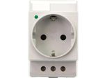 Presa Reltech Su Guida Din 230 V, 16 A, Led, Grigio
