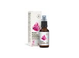 Aura Herbals Vitamina B9 Forte (Acido Folico) 30 Ml BI2616
