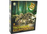 Scheletro Di Dinosauro Triceratopo 23 Cm