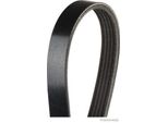 Cinghia Trapezoidale Herth+Buss Jakoparts 1230 Mm Per Opel Corsa D Hatchback (S07) J1051236