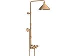 Hansgrohe Axor Starck Showersolutions Tuyau De Douche Avec Thermostat Et Pomme De Douche 2 Jets ConçU Par Front, 26020140, 26020140