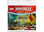 Lego 30650 Ninjago Kai E Il Duello Dei Raptor Nel Tempio
