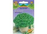 Basilico Nano Nohel Garden