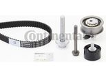 Set Di Distribuzione Vw 1.5Tsi