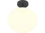 Lampada Da Soffitto Minimalista Nera Con Rosone Bianco E Sfera In Vetro Per Cucina E Bagno 1Xe27 15W Fomento Trio