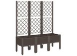 Vidaxl Fioriera Con Traliccio Marrone 120X40X142 Cm Pp
