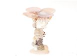 Hbx Natural Living Portacandele Galleria Di Conchiglie H16Cm