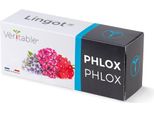 VéRitable Lingot Phlox - Terriccio Per Preimpianto