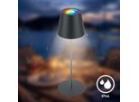 Briloner Coloris Led Lampada Da Tavolo Batteria Ricaricabile Intelligente, Controllo Tramite App, Dimmerabile, Antracite