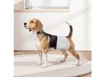 Pannolini Per Cani Maschi - Pannolini Per Cani Maschi - Pannolini Monouso Taglia S - 2 Confezioni Da 72 Pezzi