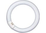 Osram Lampada Fluorescente 40W Nws Lumilux 4000K G10Q
