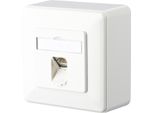 Btr Netcom 130C370002-I Presa RJ-45 Bianco