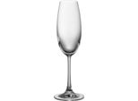 Thomas Divino Champagnerglas, Sektglas, Proseccoglas, SpüLmaschinenfest, 220 Ml, 48071