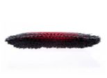 Universal Broom Refill Vileda Classica 2W1