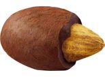 Hellma 70000173 Mandorla In Guscio Di Cacao 380 Pezzi