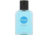 Pitralon Dopobarba Polar (Confezione Da 100 Ml)