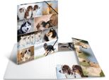 Cartella Angolare Herma "Dogs"", In Cartone, Din A3"