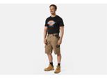 Dickies Orlo / Maglietta Denison Nero-L