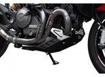 Zieger Paramotore Ducati Monster 821 Bj 2014-16 Per Monster 821