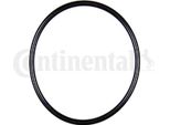 Guarnizione Valvola Egr Vw Golf 1,9Tdi 00-