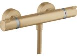 Hansgrohe Ecostat Thermostat De Douche Confort En Surface, 13116140, 13116140