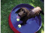 Nobby Piscina Per Cani Ø 160 X 30 Cm