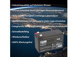 Batteria Al Piombo Fiamm FG20721 Pb 12V / 7,2Ah Faston 4,8