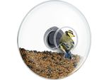 Eva Solo Fenster-Futterkugel, Futterhaus, Futterstation, Vogelfutter, Glas/Gummi/Edelstahl, Transparent, Ø 19.5 Cm, 571024
