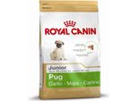 Royal Canin Breed Health Nutrition Carlino Junior 1,5 Kg