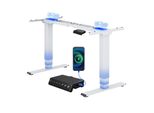 Flexispot EC5 Plus Scrivania Regolabile In Altezza Elettrica, 2 Motori, Portata 120 Kg, Porta Usb, Telescopica A 3 Livelli, 4 Funzioni Di Memoria, Bianco