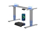 Flexispot EC5 Plus Scrivania Regolabile In Altezza Elettrica, 2 Motori, Portata 120 Kg, Porta Usb, Telescopica A 3 Livelli, 4 Funzioni Di Memoria, Grigia