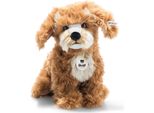 Steiff Cane Curlie Cockapoo 24 Cm Seduto Peluche 076909