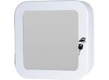 Mobiletto Porta Medicinali Koopman-Bathroom Solutions Con Specchio, Acciaio Inox/Vetro, 32X32X11,5 Cm