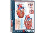 Il Cuore Umano - Puzzle Di Anatomia - 1000 Pezzi In Formato 68X48 Cm