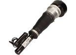Ammortizzatore Db Anteriore W221 05- Sinistro/Destro Pneumatico