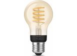 Philips Hue Wa 7W Filamento G93 Eur E27 Philips Hue | Hue Wa 7W Filamento G93 Globo E27 | E27 | 7W | Bianco Caldo O Freddo 2200-4500K | Bluetooth E Zigbee