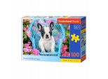 Castorland Cucciolo Di Bulldog Francese Puzzle 100 Pezzi