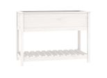 Vidaxl Fioriera Con Ripiano Bianco 111,5X54X81 Cm In Legno Di Pino Massiccio