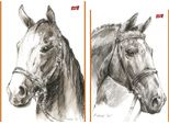 Sketchbook A4 20K Konie P10 Majewski Prezzo Per 1Pz.