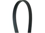Herth+Buss Jakoparts J1040791 Cinghia Trapezoidale Dentata 790 Mm