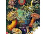 Ernst Haeckel Puzzle Dell'immaginazione Anemoni Di Mare/Creature Marine (1000 Teile)