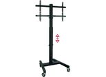 Omb Professional Spring 139,7 Cm (55") Nero"