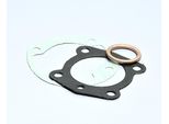 Kit Guarnizioni Cilindro Polini Diametro 46 Peugeot