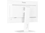 Iiyama Prolite XUB2497HSU-W2 - Monitor Led - 24""