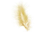 Piume Reali Artigianali Giallo Chiaro 5-10Cm 20G Piume Decorative Fai Da Te