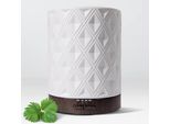 Diffusore Di Oli Essenziali Earnest Living EL-250, 250 Ml, Timer, Luce Notturna, Funzione Di Spegnimento Automatico Per Ufficio E Oli Essenziali