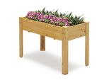 Costway Letto Da Giardino Rialzato In Legno, Letto Da Giardino Rialzato, Fioriera Con Fori Di Drenaggio, Letto Per Ortaggi Letto Per Piante Rettangolare, Letto Per Erbe Aromatiche, 120X60X82Cm, Natura