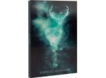 Erik Editores A5 Harry Potter Quaderno Lenticolare Trasparente Taglia Unica