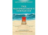 Il Compagno Del Wavewatcher